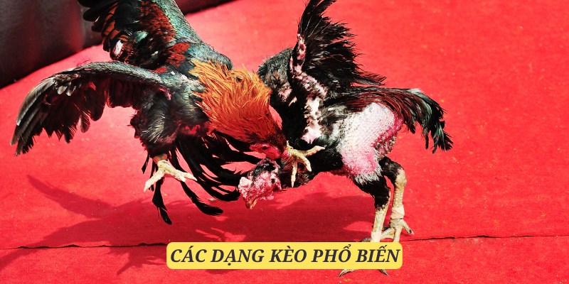 Các dạng kèo đã quá quen thuộc với cộng đồng kê thủ miền Tây