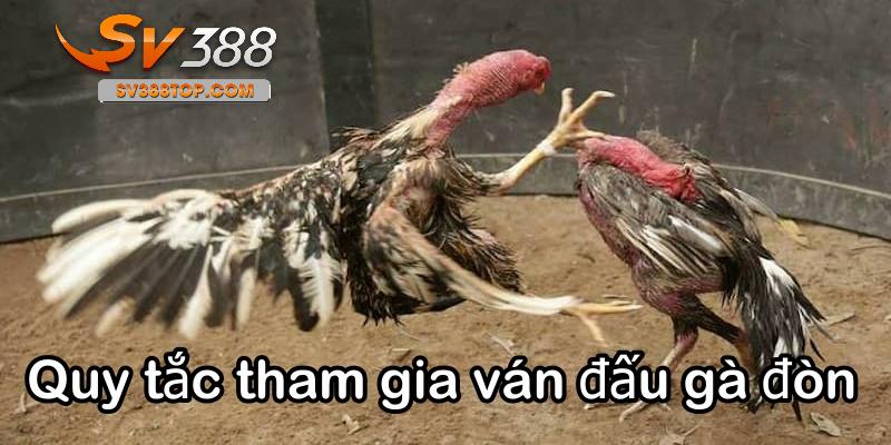 Các quy tắc tham gia ván đấu gà đòn