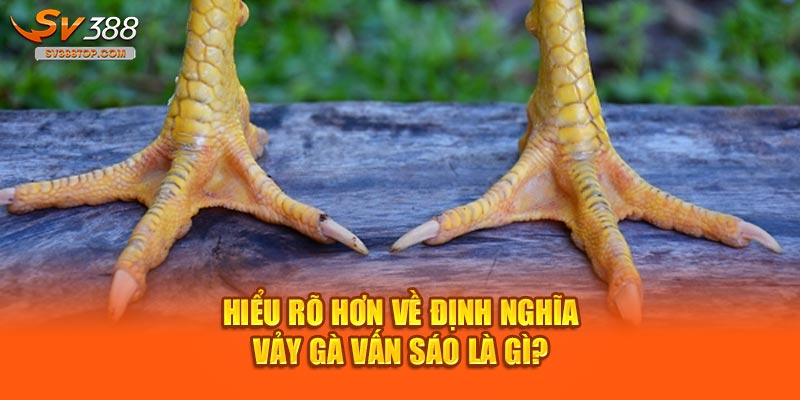 Hiểu rõ hơn về định nghĩa vảy gà vấn sáo là gì?