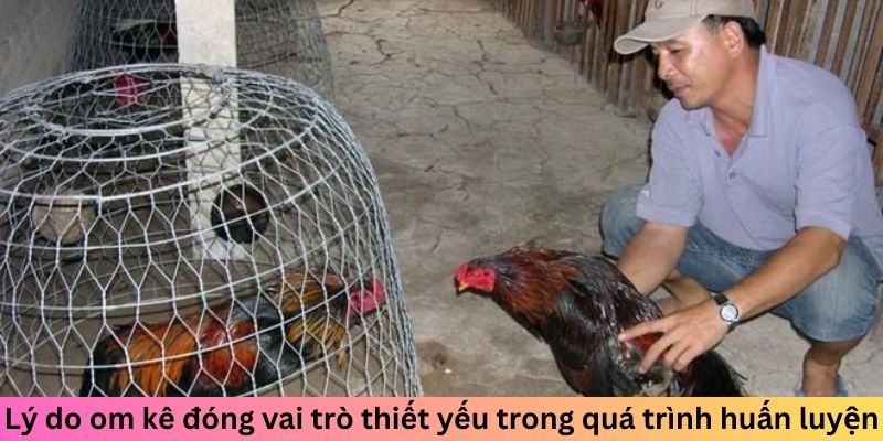 Lý do om kê đóng vai trò thiết yếu trong quá trình huấn luyện